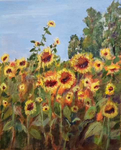 SchoolHouse Sunflowers