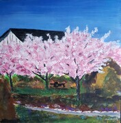 Cherry Blossom time    Earthwise Gardens    Tsawwassem