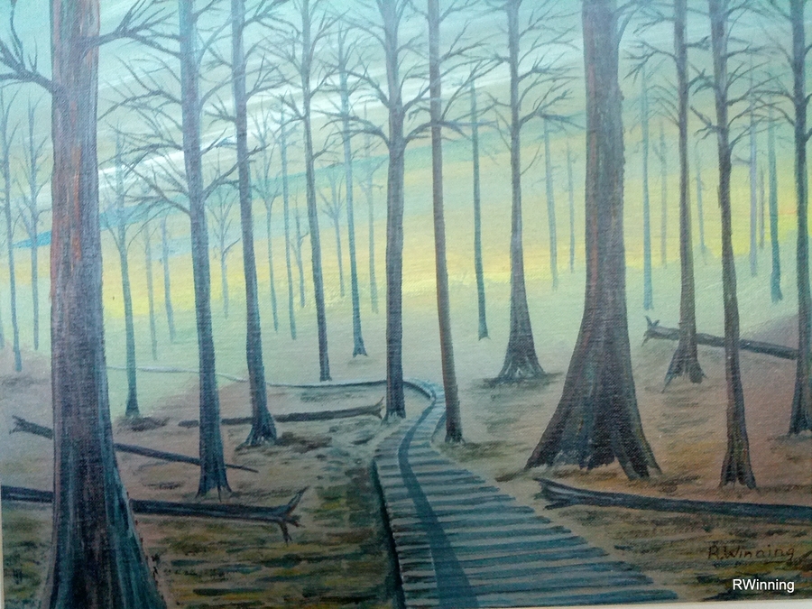 Boardwalk at the Bog