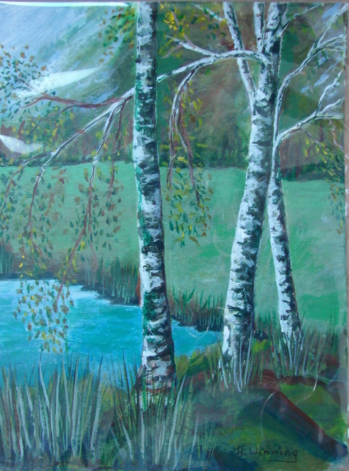 Birch Trees at TGCC