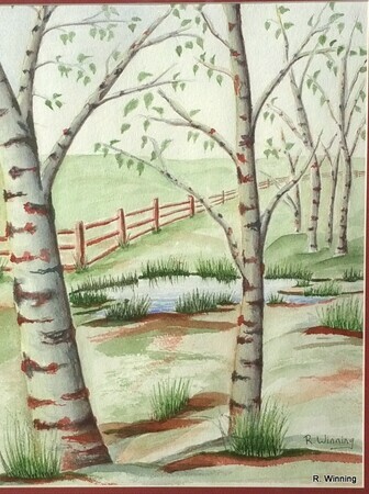 Birches  by       Rod Winning