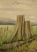Majestic   Stump of West Ladner Dyke