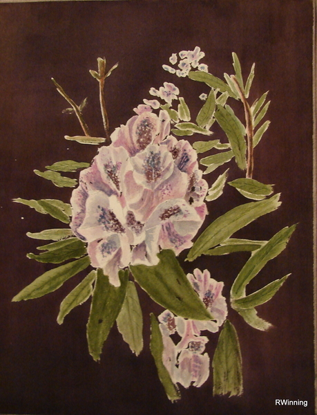 Rhodo