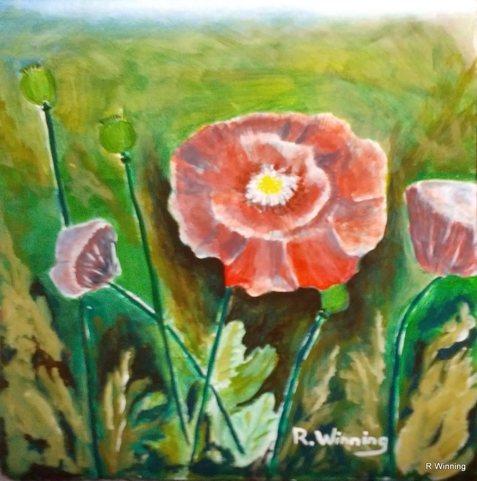 Poppy Field